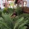 Guesthouse Dida