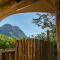 Cape Vulture Conservancy - Hoedspruit