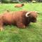 Glendine Country House Wexford - 韦克斯福德