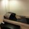 Sleep and Relax - Few minutes drive to the Ferry, Lalandia and the Femern Tunnel project