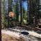 Fully updated Truckee cabin with plenty of beds - تروكي