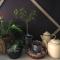 AshTree GuestHouse