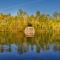 Maison flottante - Houseboat - Baurech Insolite - Baurech