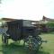 Los Alamos Cabañas & Glamping Yecapixtla - Yecapixtla