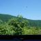 Woodland Paradise - Gabala