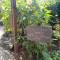 1322 Backpackers International