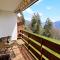Studio rénové avec vue imprenable sur les Alpes - 克莱恩 蒙塔纳