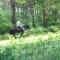 Forest View at Oakdene Forest Park - Leisure Passes Included!