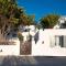 mykonos 1001