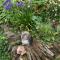 Barn Owl Cottage