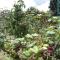 Ecohotel, Finca Colinas y Senderos - Paipa