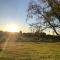 Los Colibries II
