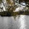 Los furgones de Areco