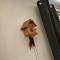 Self-check-in zentrale Fewos in Triberg - Nah am Wasserfall - - 特里贝格
