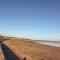 The Lazy Seal - Berwick-upon-Tweed