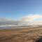 The Lazy Seal - Berwick-upon-Tweed