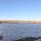 The Lazy Seal - Berwick-upon-Tweed