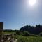 Cosy cottage in the Blackdown Hills Devon