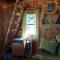 Saia Forest House