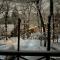 The Guest House Japan Hakuba
