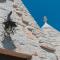 Trulli Tiche - Cisternino