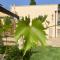 3 bedrooms house with enclosed garden and wifi at Surano 7 km away from the beach