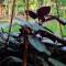 ETALAUSER Jungle Gate EcoResort Bukit Lawang - 武吉拉旺