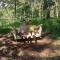 Tereng Wilis Jungle Inn