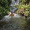 Tereng Wilis Jungle Inn