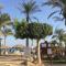 Private chalte Palmera sokhna family