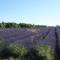 A 5 Minutes des Ocres Gïte La Charite Gordes Roussillon - 加尔加斯
