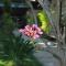 Herry Homestay Kuta Lombok