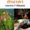โรงแรมเรือนไทย 2 บึงโขงหลง