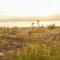 Sky Glamping boutique