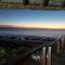 Dolphin Sunrise