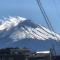 富士山金魚 Fujisan Kingyo