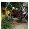 Tonys Guest House