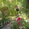 Canario Bungalows