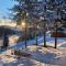 Pine Cabins Zlatibor