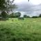 Shepherds Hut (Bennys)