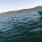 Janas Blue Water Corner