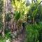 Maison avec jardin, WiFi, animaux acceptés, parking à Beynac - FR-1-616-39