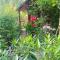 Canario Bungalows