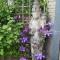 Hasselt City Garden Duplex