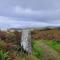 Cosy terraced Cornish cottage near the sea - Penzance