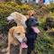 Cosy terraced Cornish cottage near the sea - Penzance