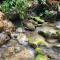Ecoscape Jamaica - Lavish 1-br cottage by the river