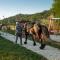 Sancho Farm Albania - Memaliaj