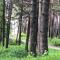 Small resort Pini & SPA - Jūrmala