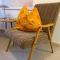 Villa Maria Dolomites Vintage Home